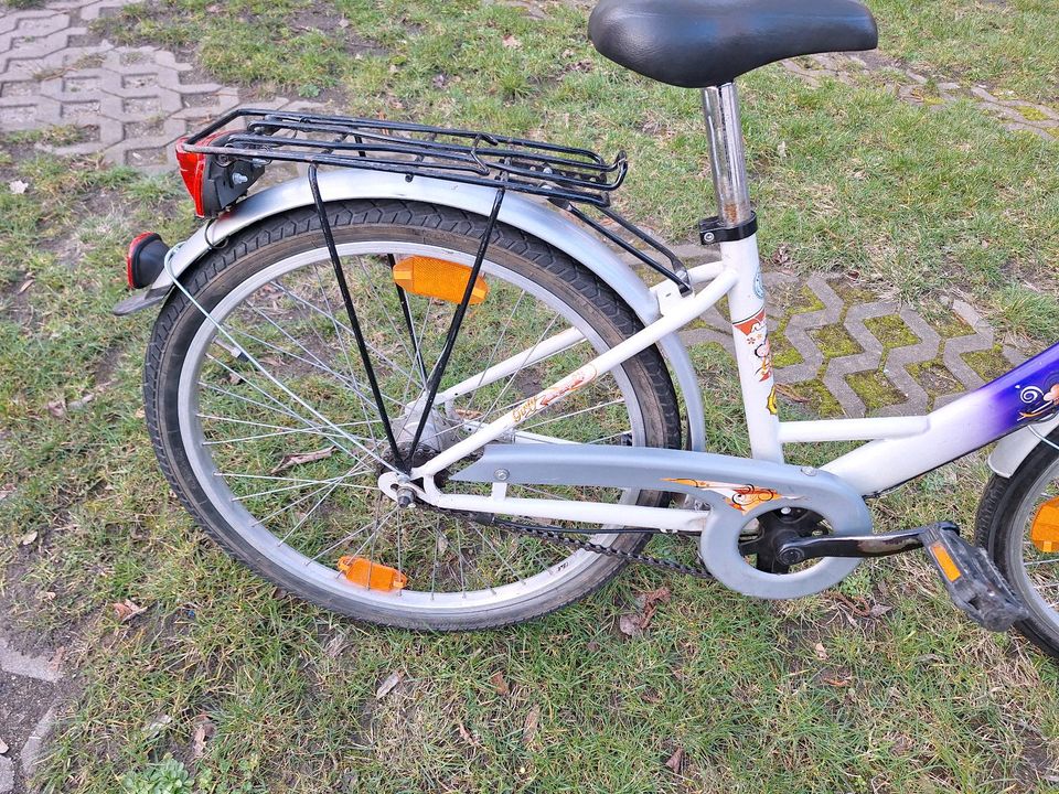 Gebrauchtes 24 ziger Mädchen Fahrrad in Zielitz