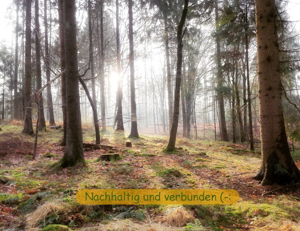 BOSIKI Upcycling Meditationskissen, Yogakissen mit BiO "Kelim" in Preetz