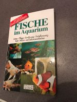 Buch, Fische im Aquarium, tolle Fotos Hessen - Michelstadt Vorschau