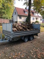 Baumfällung Wurzelfräsen Baumpflege Rodung Nordrhein-Westfalen - Saerbeck Vorschau