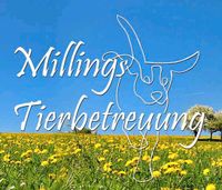 Tierbetreuung mit ❤️ für Hunde über Nacht Sachsen - Reinsberg Vorschau