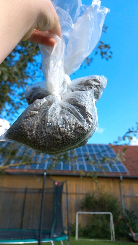 Getrockneter Lavendel in Gablingen