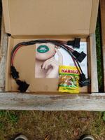 VW Corrado,Golf,Passat,G60-Einspritzdüsen-Kabelbaum Brandenburg - Heidesee Vorschau