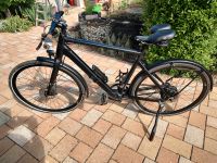 E-Bike Rabeneick Citybike Pedelec Sachsen-Anhalt - Halle Vorschau