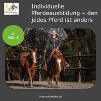 Jung- Pferdeausbildung - Pferdetraining - Problempferde Nordrhein-Westfalen - Sonsbeck Vorschau
