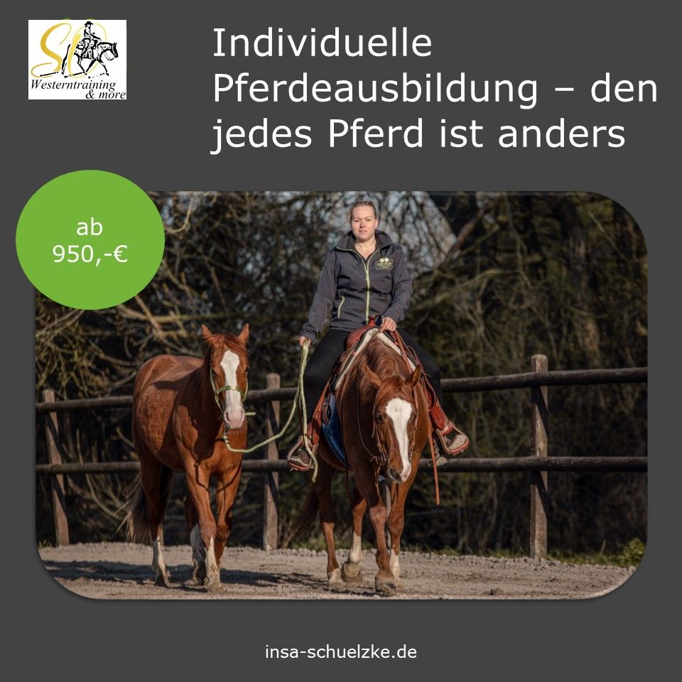 Jung- Pferdeausbildung - Pferdetraining - Problempferde in Sonsbeck