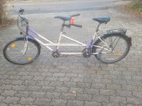 Schauff Tandem Fahrrad 26 Zoll 5Gang Nabenschaltung Bayern - Roth Vorschau