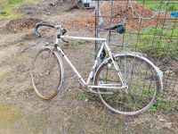 Retro Peugeot Rennrad Alters entsprechen gute zustand Rheinland-Pfalz - Hagenbach Vorschau