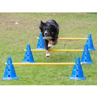 Dog Agility 3er Set Pylonen-Hürden (30cm) + Sprungring Nordrhein-Westfalen - Solingen Vorschau