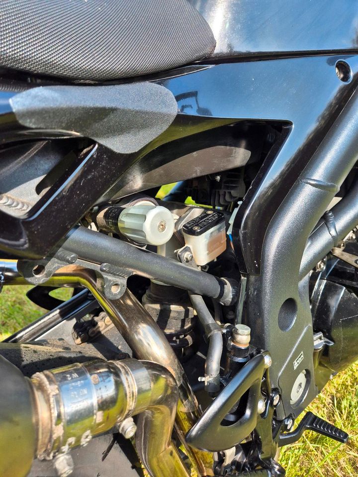 Triumph Speed Triple in Zetel