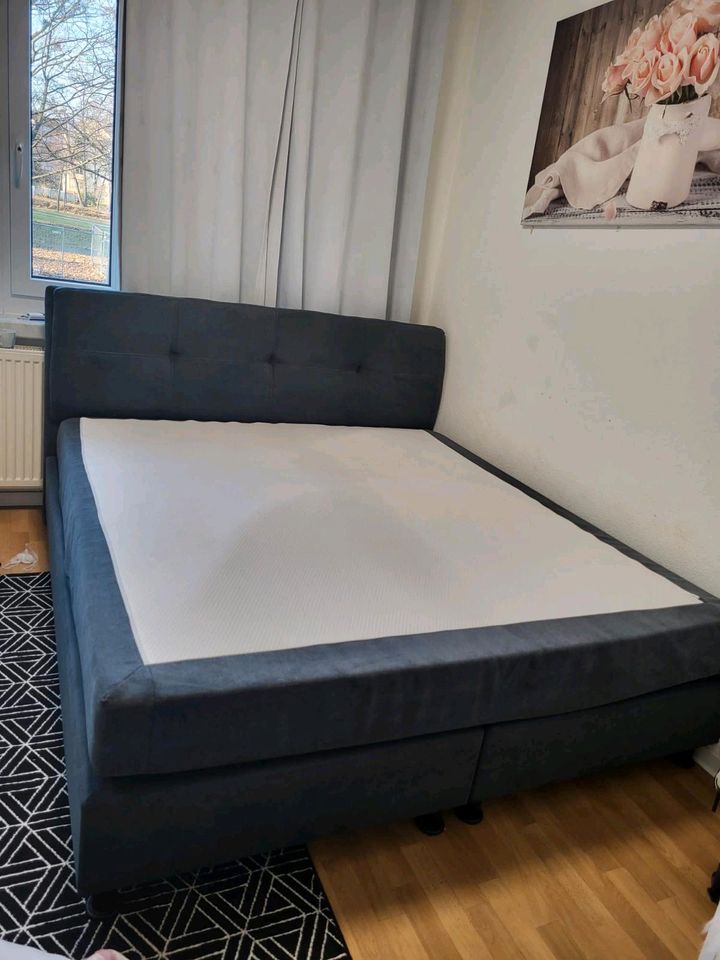 Boxspring bett 180×200 in Dresden