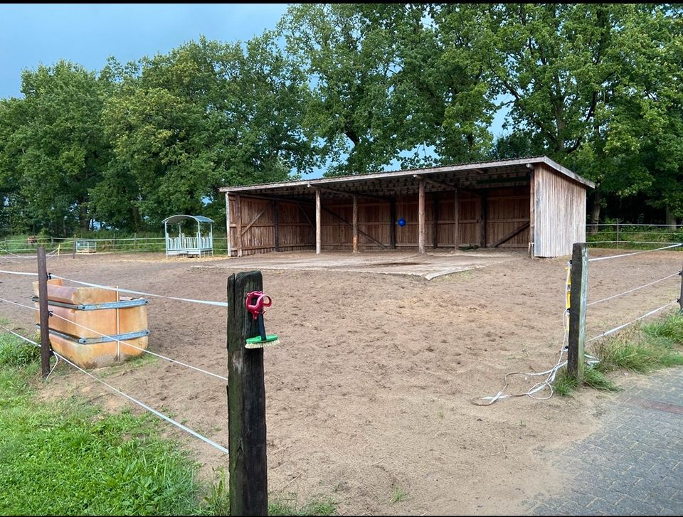 Offenstall Platz für Rentner oder Beisteller an der Nordsee in Friedeburg