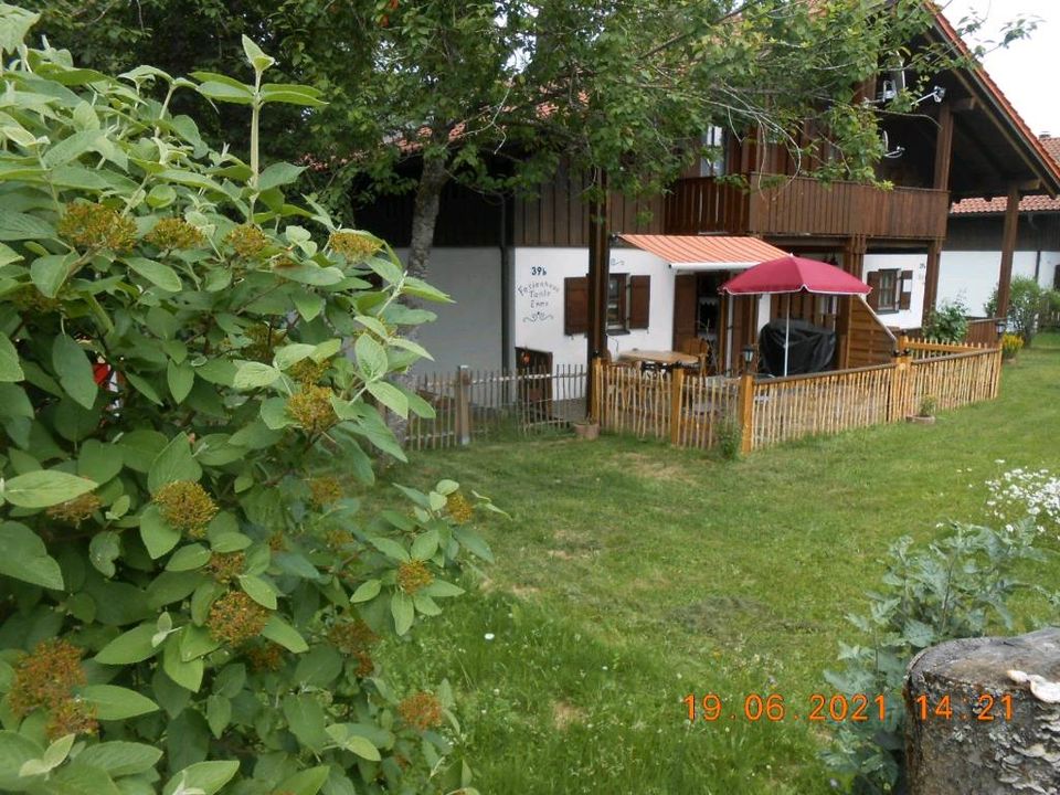 Schönes Ferienhaus in Regen/Bayerischer Wald, Haustiere erlaubt in Regen