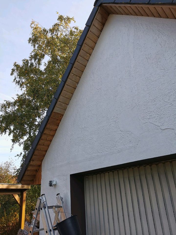 Fensterreinigung Gartenpflege Dachrinnenreinigung Renovierung Uvm in Vechta