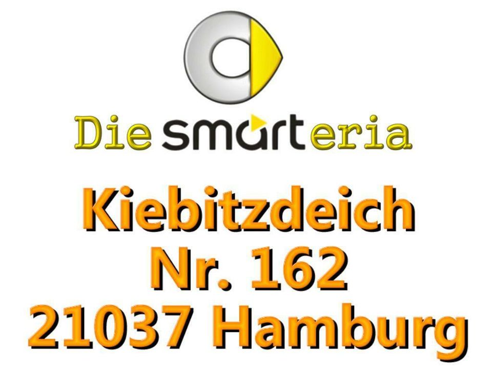 Smart 450 Cabrio Kofferraumabdeckung Laderaumabdeckung LRA in Hamburg