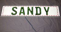 LKW Funschild Namensschild "SANDY" LED grün / rot 24V Güstrow - Landkreis - Laage Vorschau