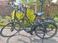 Zwei Kalkhoff E-Bike's der Serie Pedelec Impuls  2.0 Nordrhein-Westfalen - Neuenkirchen Vorschau
