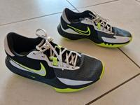 Nike Hallenschuh,  Sportschuh, Größe 41 Nordrhein-Westfalen - Everswinkel Vorschau