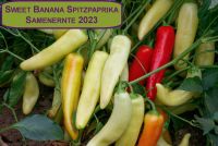 NEUE ERNTE 2023 Sweet Banana Spitzpaprika 15 Samen aus Bio Anbau Hessen - Borken Vorschau