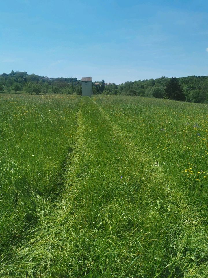 Grünland, Wiese 72661 Grafenberg in Metzingen