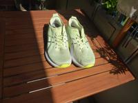 Asics Gel-Kayano 31 Laufschuhe Größe 46 cool matcha/celadon Neuw. Schleswig-Holstein - Kiel Vorschau