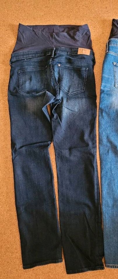 H&M Mama Jeans Umstandsjeans Schwangerschaft Größe 38 in Winterhausen