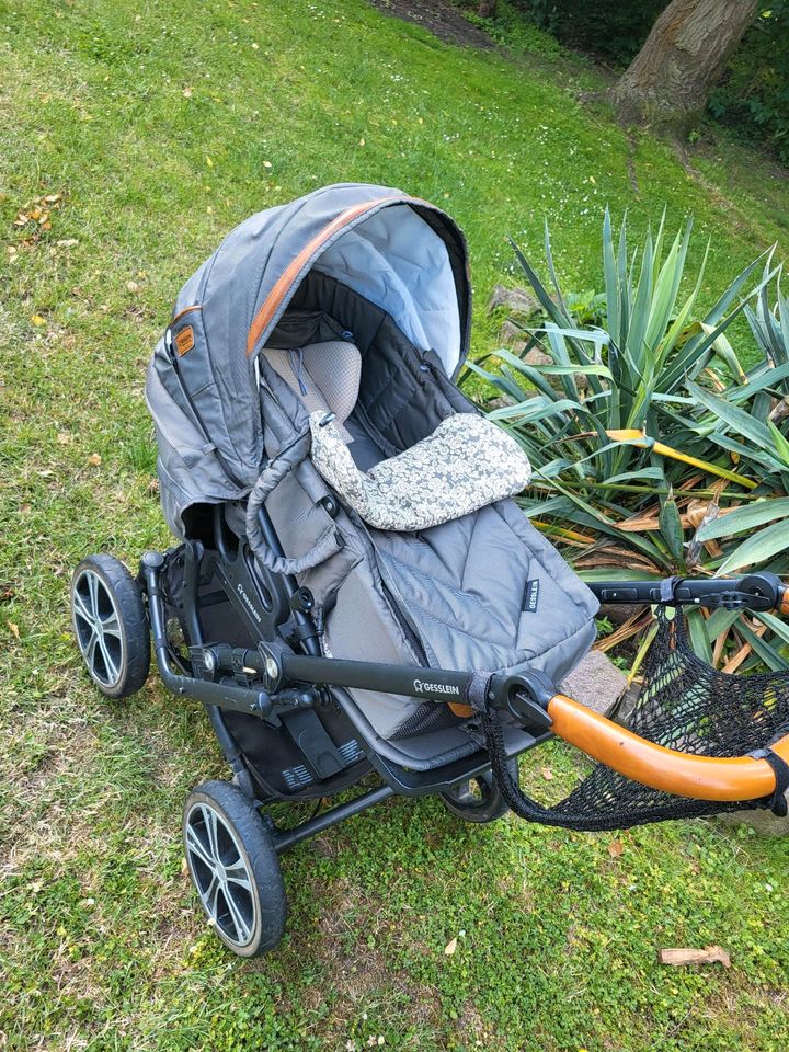 Kinderwagen in Petersberg (Saalekreis)