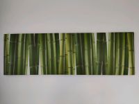Bild mit Bambus Brandenburg - Guben Vorschau