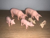 Schleich Schweine Dresden - Löbtau-Süd Vorschau