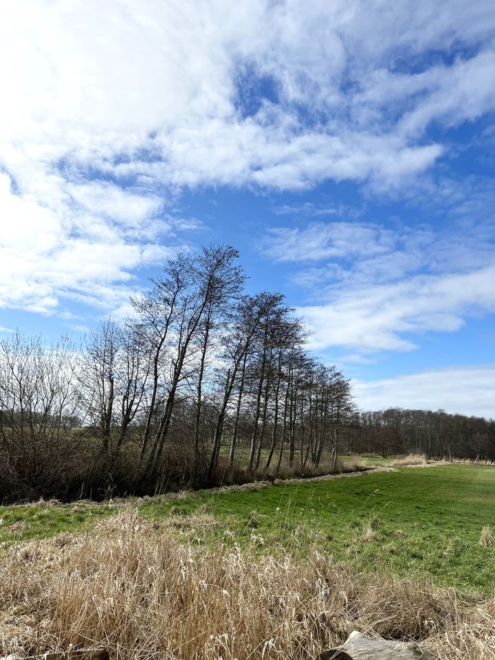 Attraktives Anwesen mit 1,3 Hektar Grund auf Rügen in Ummanz