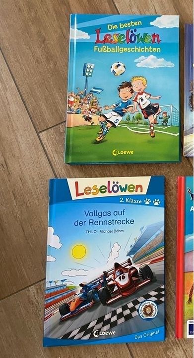 Erstleser 1. Lesestufe 1. u.2. Klasse Leselöwen Leserabe in Nörten-Hardenberg