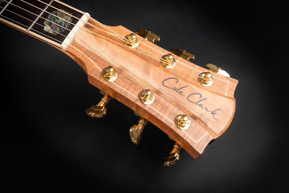 2022 Cole Clark FL3EC-BLBL Tasmanian Blackwood Abalone Pickup in Niebüll