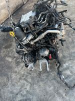 Motor VW T6 2.0. tDi CXF CXG 150PS Komplett Multivan Berlin - Wilmersdorf Vorschau