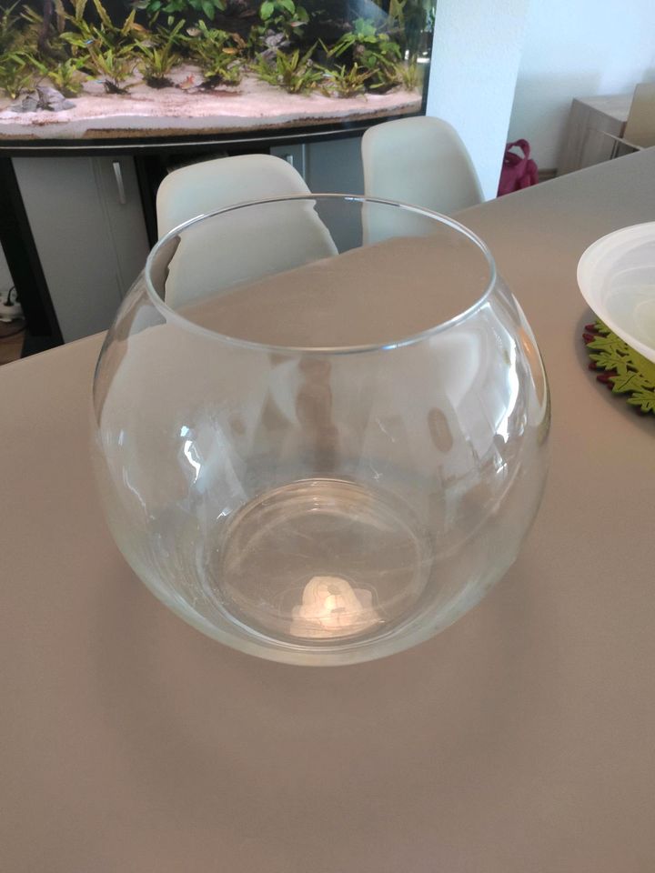 Glasvase Fischglas wie NEU in Abtsgmünd