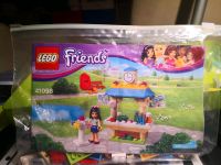 Lego friends Paket Teil 3 Sachsen - Altenberg Sachs Vorschau