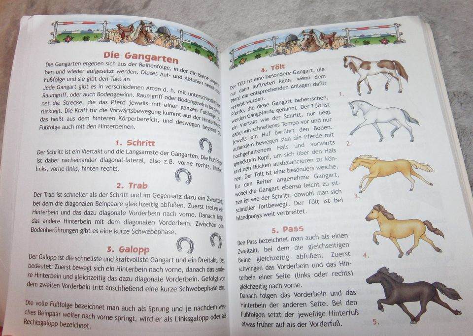 Die Welt der Pferde Einfach schlau Kinder Buch Heft Lesen Lernen in Dettingen an der Iller