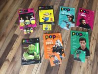 PopiG Popmusik in der Grundschule Heft+ CD, je 15€ Brandenburg - Ferch Vorschau