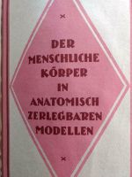 Arztbuch Körper antik Die Familienärztin v.1928  Dr.Müller Baden-Württemberg - Mühlacker Vorschau