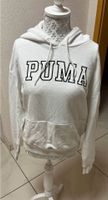 Puma Pulli Niedersachsen - Braunschweig Vorschau