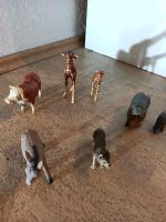 Schleich - Wildtiere, Haustiere, Tiere Baden-Württemberg - Schwendi Vorschau