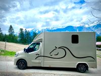 Pferdetransporter Renault Master 2021 Bayern - Garmisch-Partenkirchen Vorschau