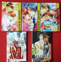 Manga Gakuen Heaven & Lost Angel & Flower Nordrhein-Westfalen - Brilon Vorschau