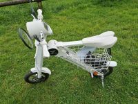 LEHE K1 E-Moped neuwertig Camping Nordrhein-Westfalen - Marl Vorschau