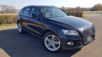 Auto Audi Q5 Köln - Köln Dellbrück Vorschau