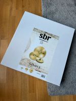 Sabian sbr Performance Beckenset (neu, original verpackt) Nordrhein-Westfalen - Ratingen Vorschau