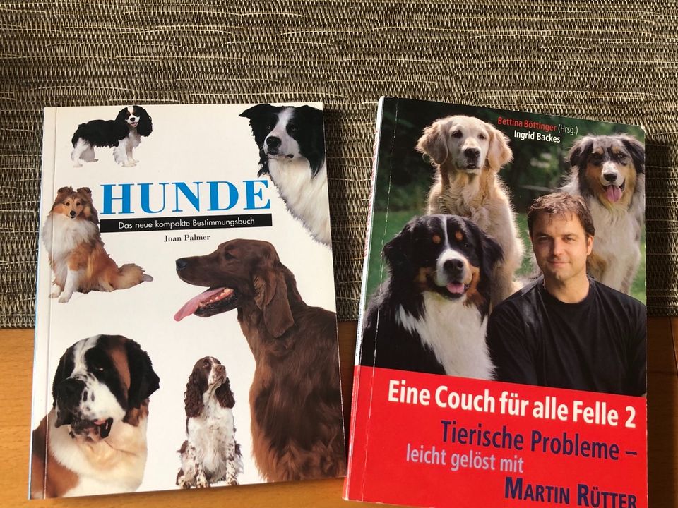 Eine Couch für alle Felle 2, Martin Rütter, + Hundebuch in Wegberg