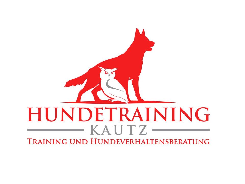 Hundetraining in Hohenstein
