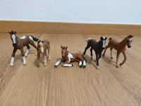 Schleich Pferde Bayern - Viechtach Vorschau