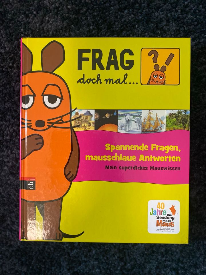 Buch Frag doch mal die Maus in Pickließem