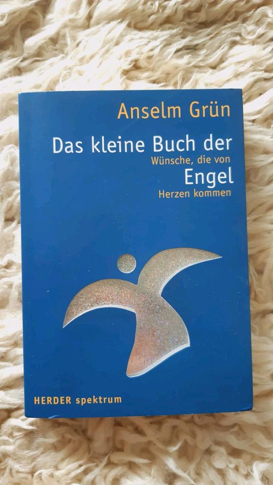Anselm Grün das kleine Buch der Engel in Schorndorf